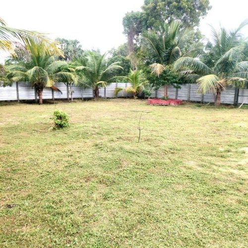 LAND-SALE-PALAMUNAI-5584-1.jpg