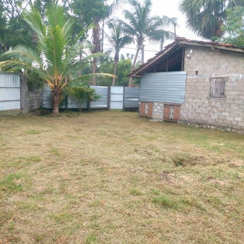 LAND-SALE-PALAMUNAI-5584-4