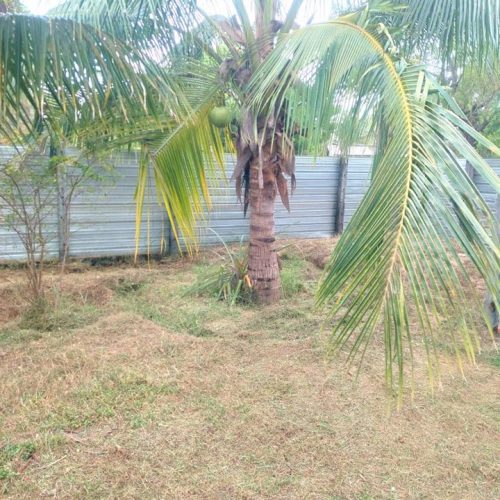 LAND-SALE-PALAMUNAI-5584-5