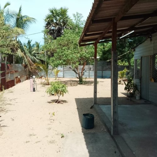 LAND-SALE-PALAMUNAI-5956-2.jpg