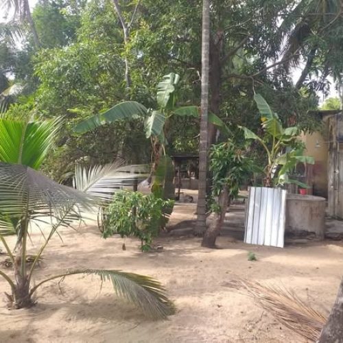 LAND-SALE-PALAMUNAI-6027-1.jpg