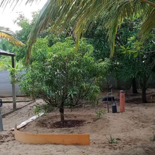 Land Sale Palamunai - 150X49 அடி வளவு விற்பனைக்கு - பாலமுனை காத்தான்குடி - Kattankudy Ads (KKY ADS)