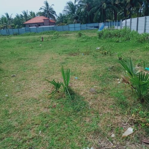 LNDS-PMUNAI-4939-3
