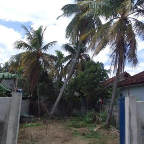 land-sale-2.jpeg